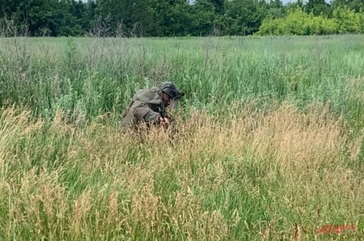    Сапер Фет рассказал, чем будут заниматься северокорейские саперы в России