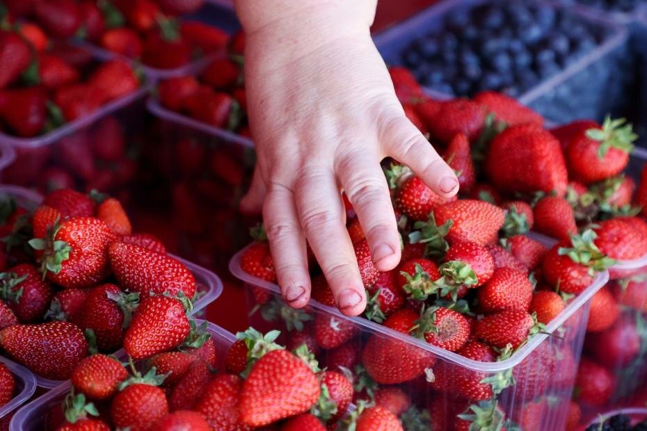    Алексей Белкин/NEWS.ru