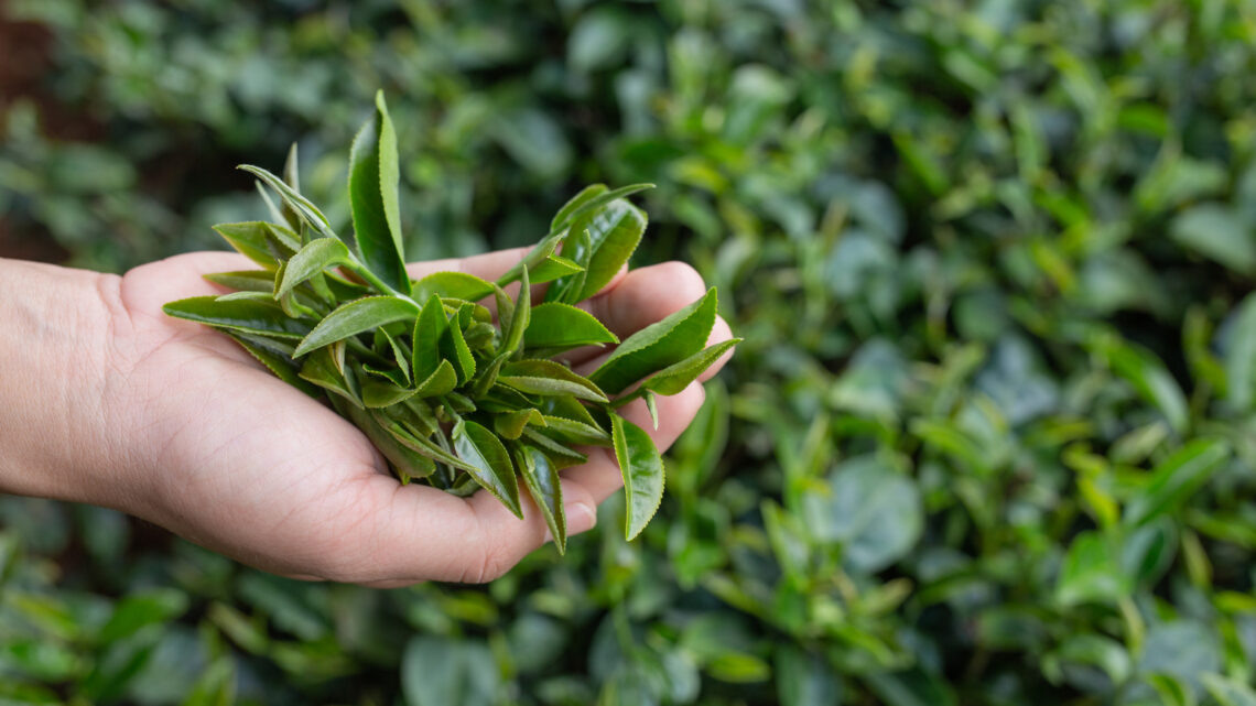 фото: jcomp / freepik.com