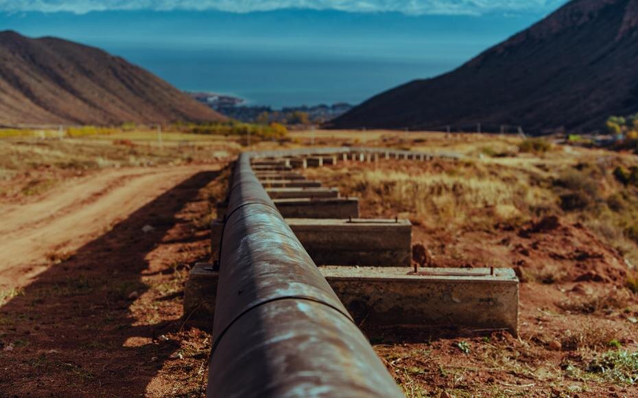    Shutterstock/FOTODOM