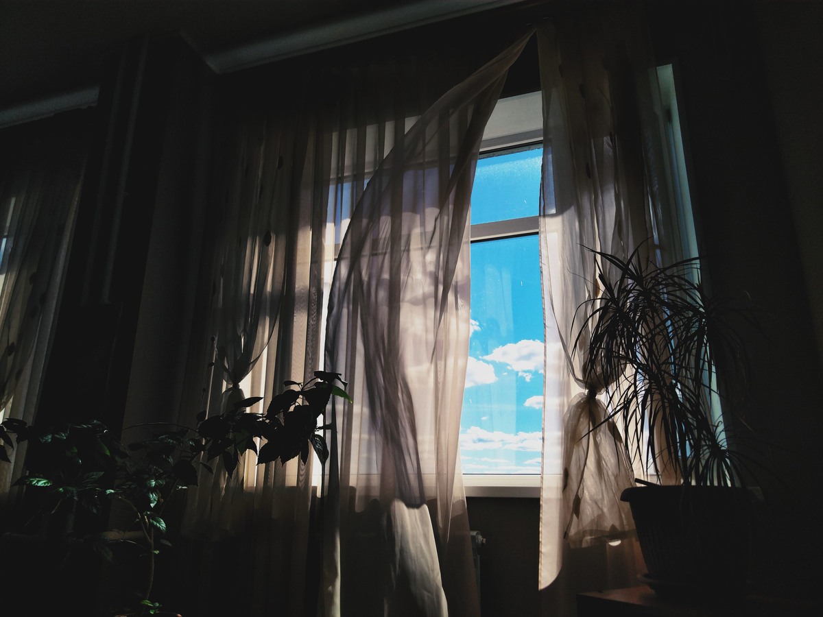 Фото: freepik.com  📷
