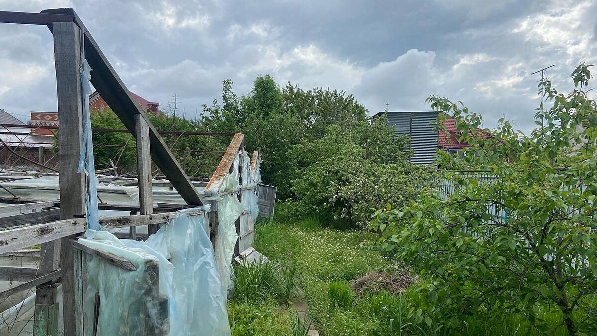    Фото: телеканал «Краснодар»