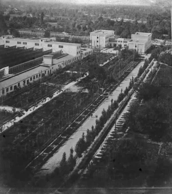 Ташкентский текстильный комбинат. Общий вид, 1955