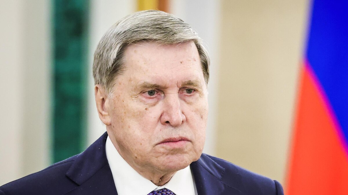    Фото: Roman Naumov/globallookpress.com