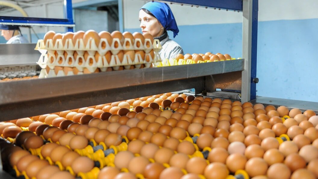    фото: Vadim Akhmetov/URA.RU