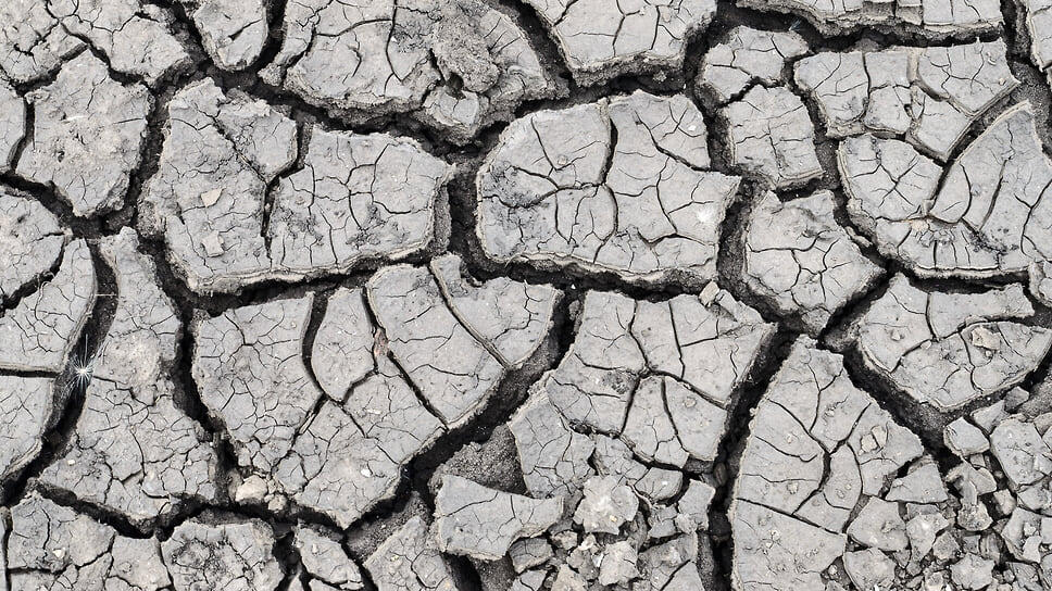 Фото: Игорь Елисеев / Коммерсантъ