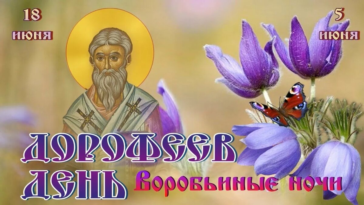 изображение взято с сайта яндекс картинки