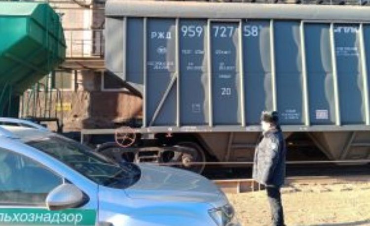    Фото: Россельхознадзор РФ