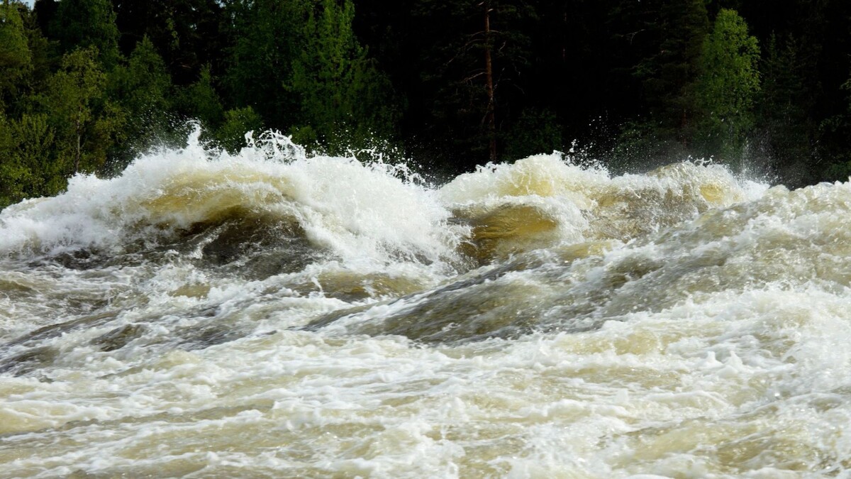    Фото: Scandphoto/Shutterstock/Fotodom