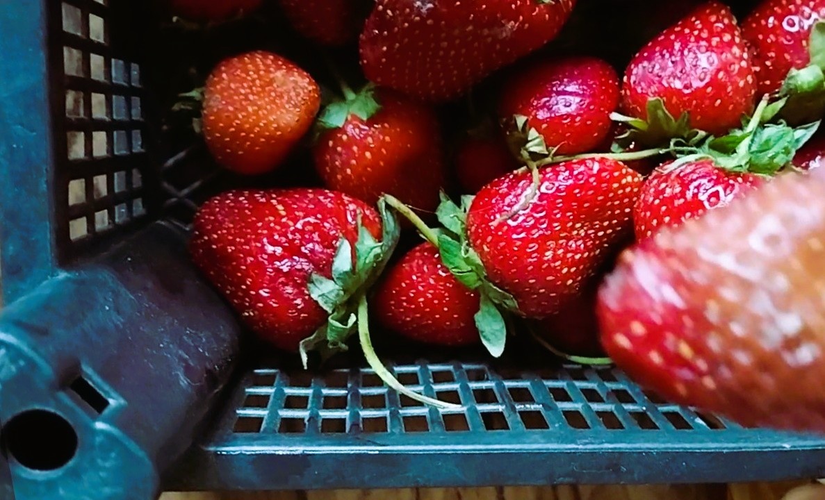 Клубника на рынке (Фото автора)