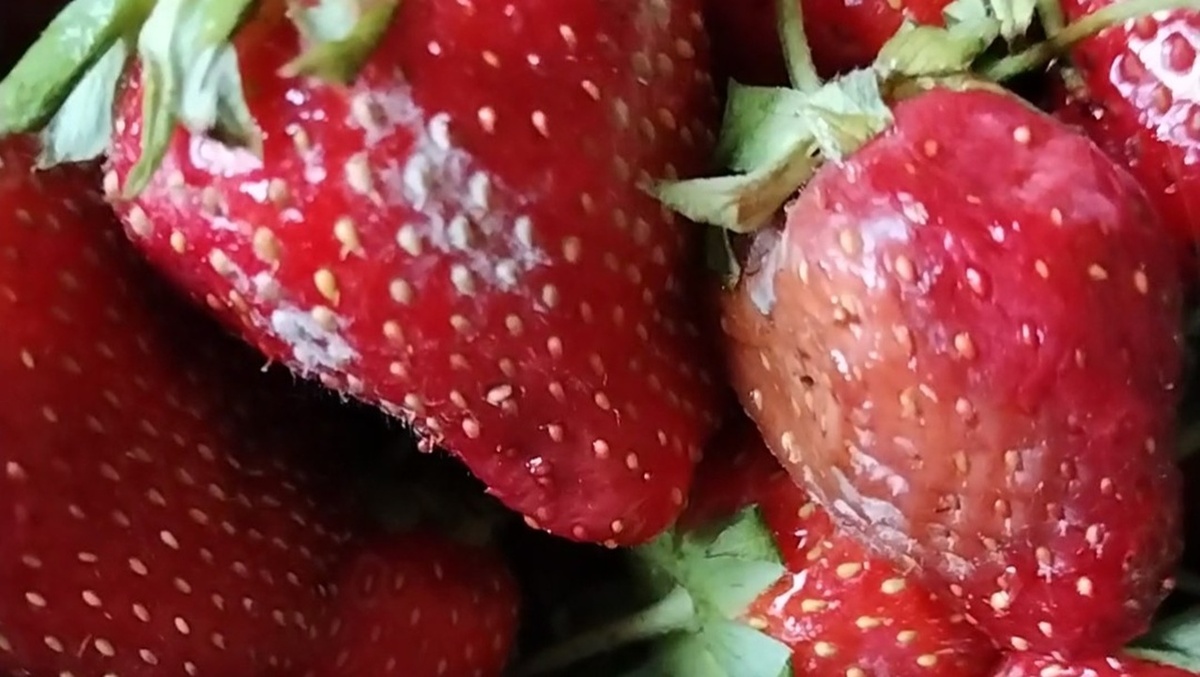 Клубника на рынке  в Челябинске, моя покупка (Фото автора)