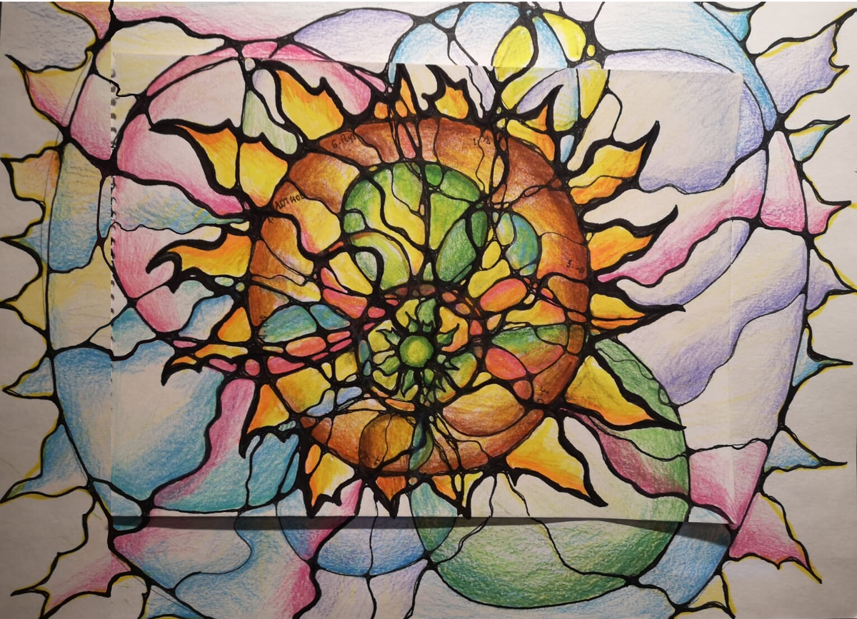 На фото работа ученицы, алгоритм «Свет Жизни»