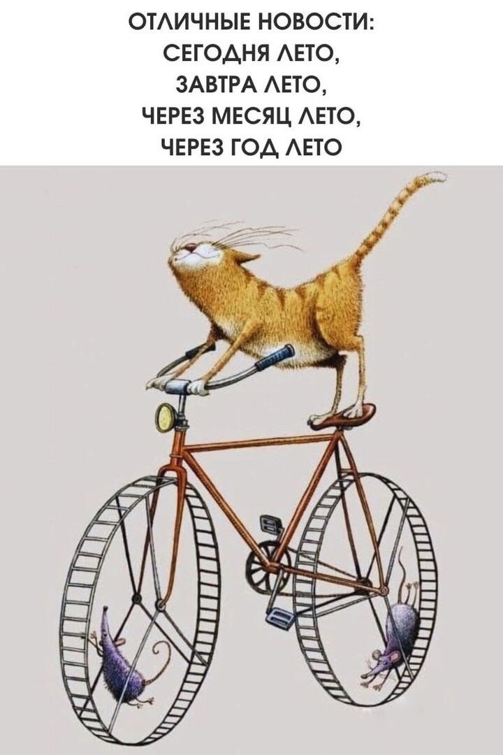 Да, лето будет всегда. 