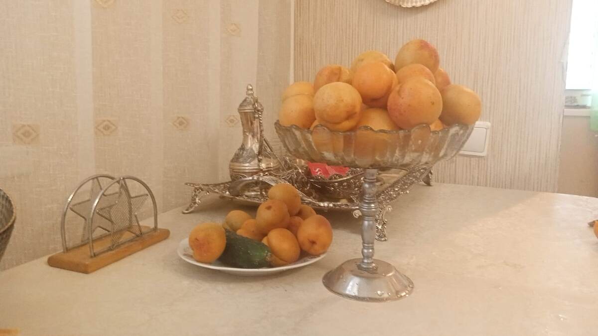 Мои абрикосы, сорванные сегодня. 