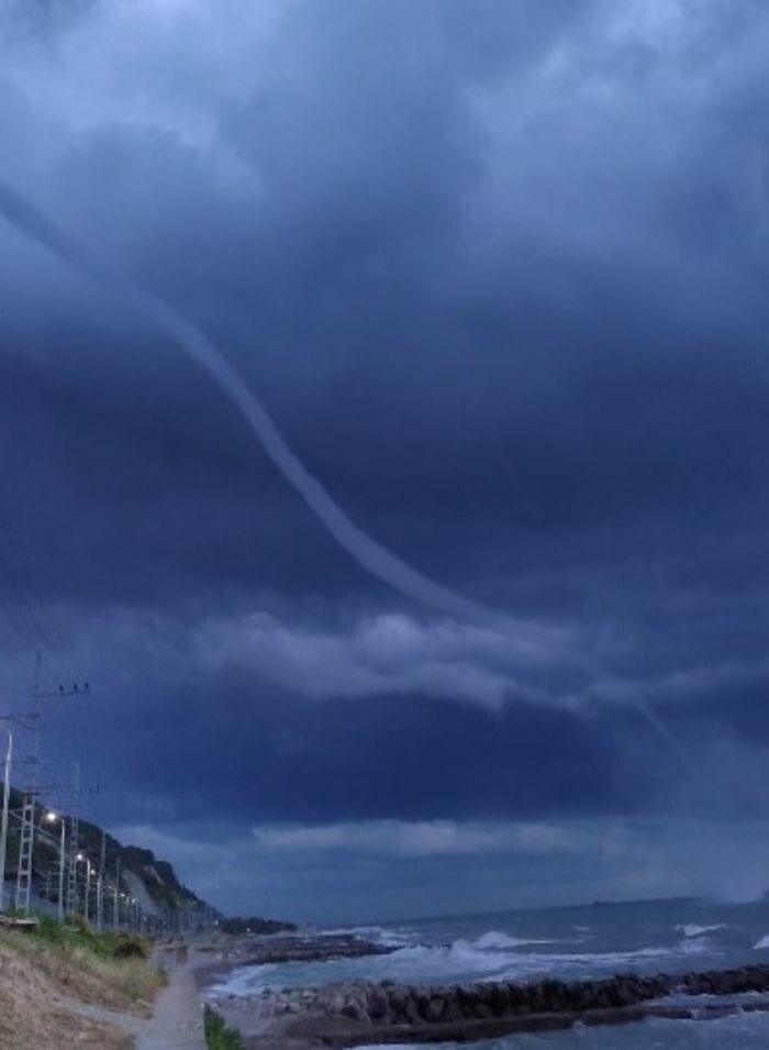 Источник фото: скриншот видео//t.me/s/typodar