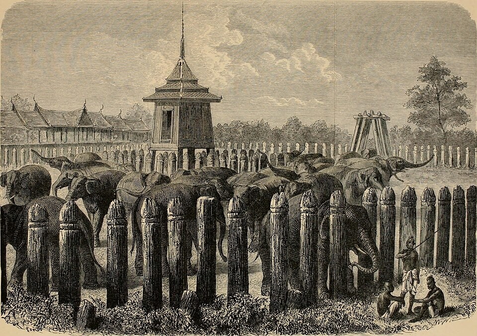 Слоновий крааль в прошлом. Источник: wikimedia.org