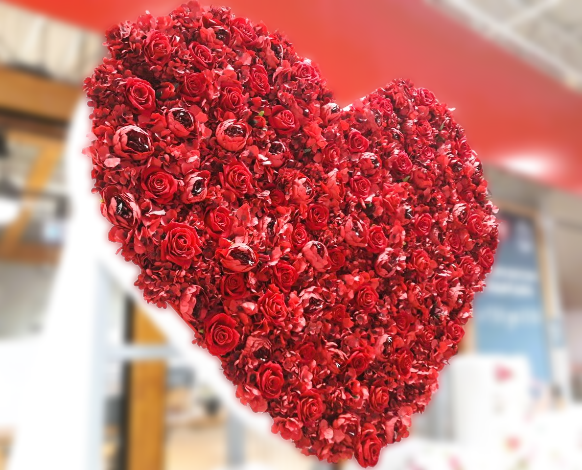 Все фотографии - авторские