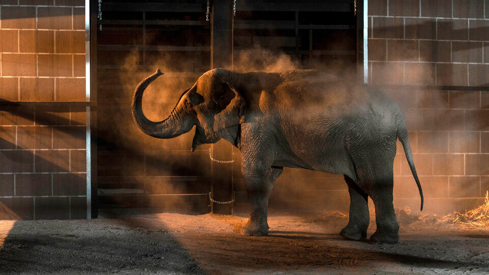 Фото: © AP/TASS 