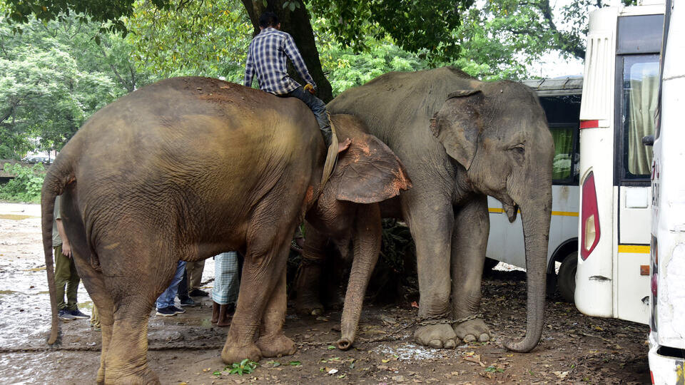 Фото: © Zuma\TASS