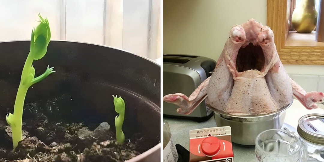 17 ситуаций, когда неодушевленные предметы шокировали и казались не тем, чем являлись