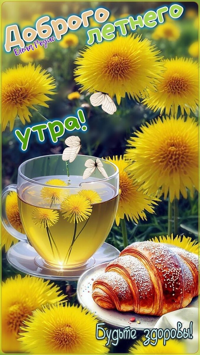 Фото из открытого источника в интернете.