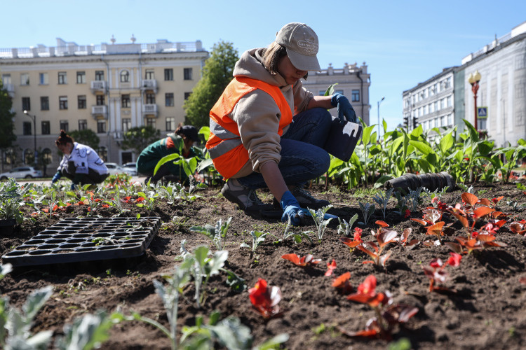    Процент озеленения города в течение следующих 10 лет должен вырасти с 32,7 до 39%.   
Фото: «БИЗНЕС Online»