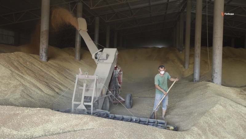      Фото: ИА «Победа26»