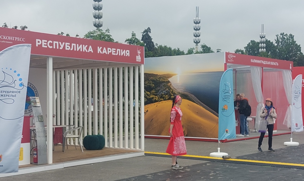 Девочка у павильона республики Карелия танцует "Калинку" соло