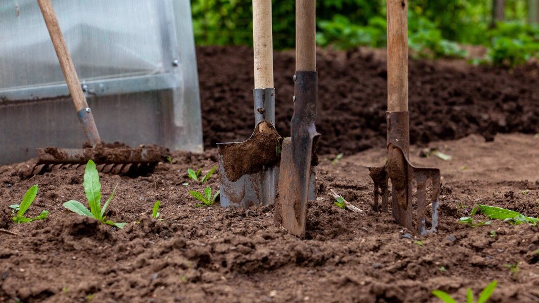    Фото: Oksana Korol/Globallookpress