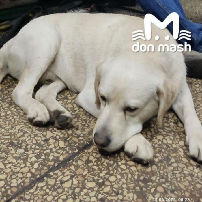 Источник фото: Don Mash