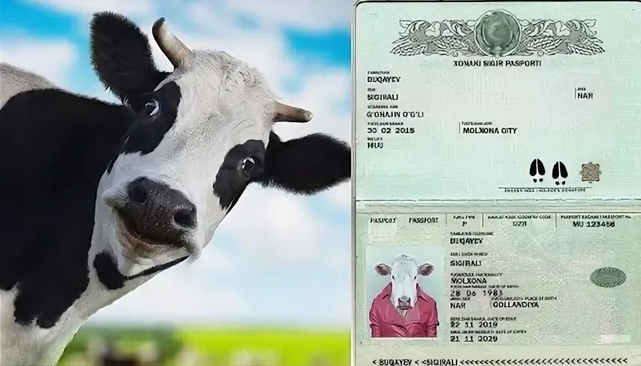 из досупных источников