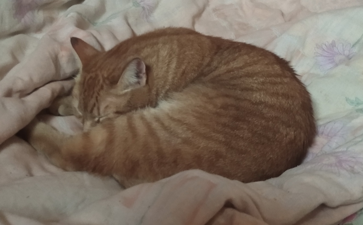 Личное фото