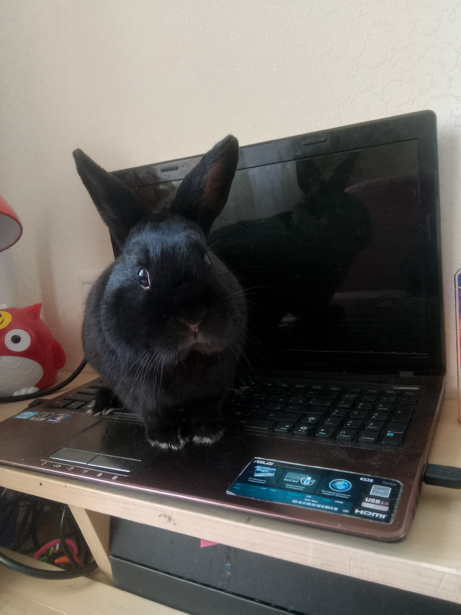 Для обложки