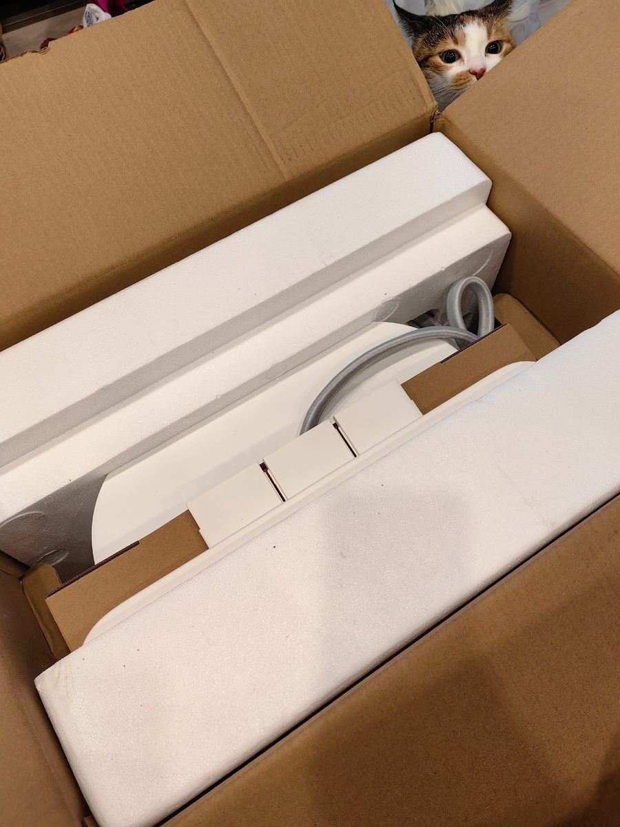 Тигра любопытная 