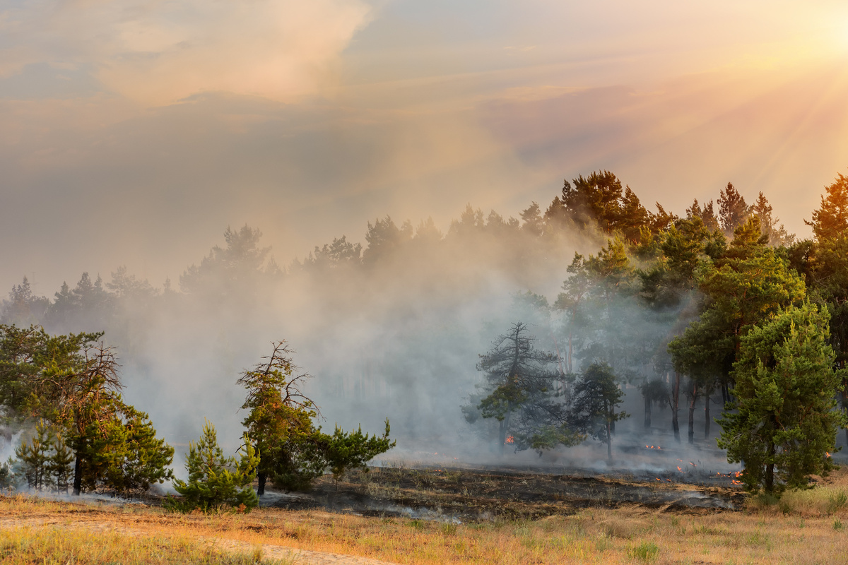     Фото: ABCDstock/Shutterstock/FOTODOM