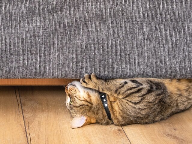    Фото: 123RF/simol1407