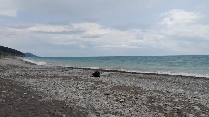    Фото: Роман ПРЫТКОВ