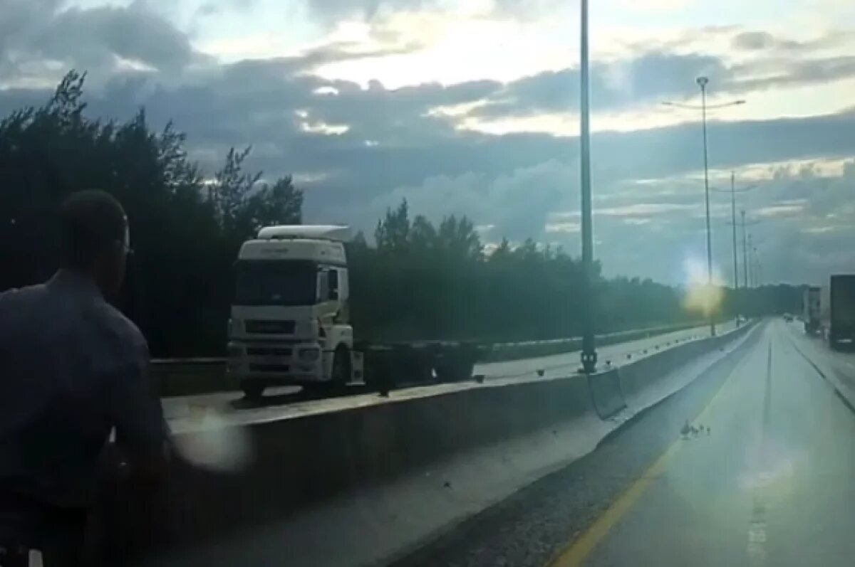    В Перми водитель остановил движение, чтобы перевести утят через дорогу