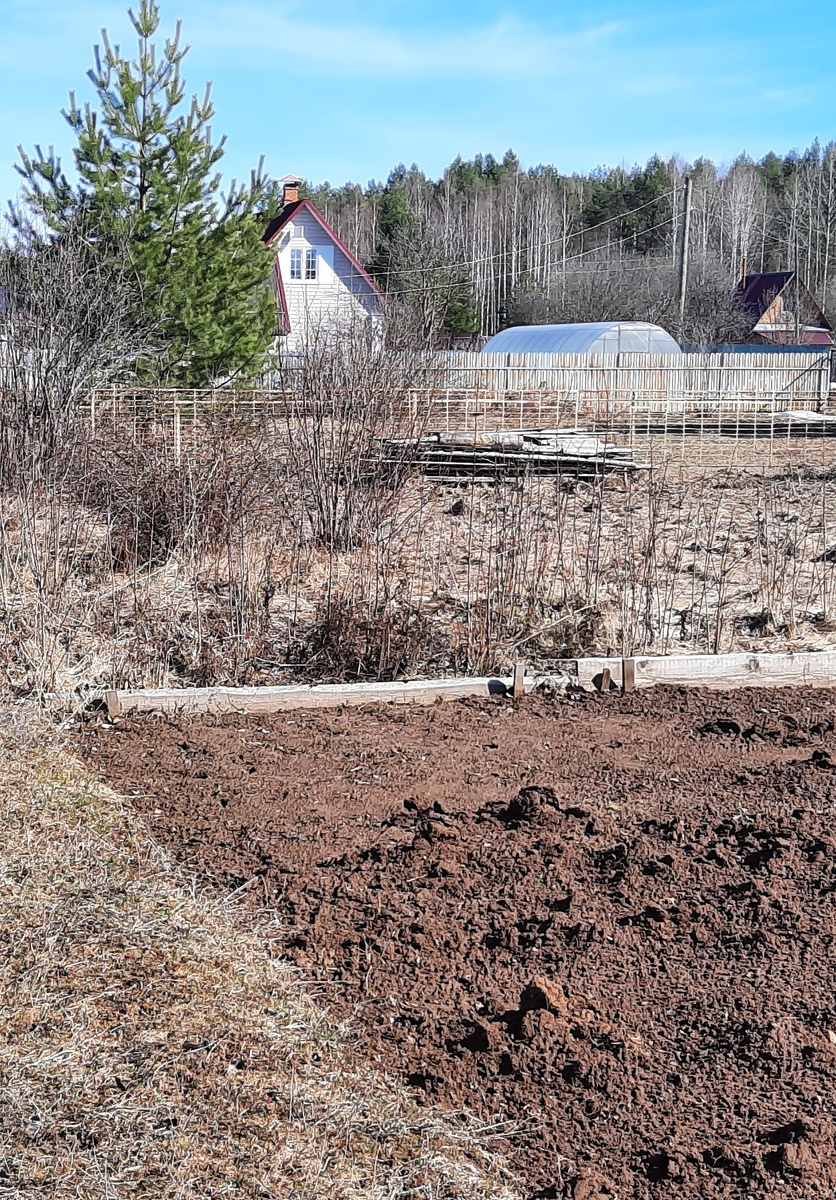 Начало апреля 2023 г.