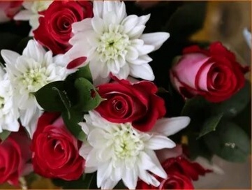 Фото Яндекса.