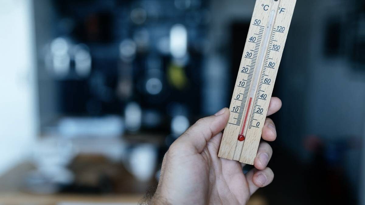    Фото: Shutterstock