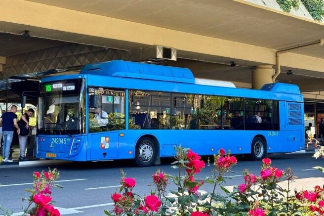    Фото: t.me/officialsochi