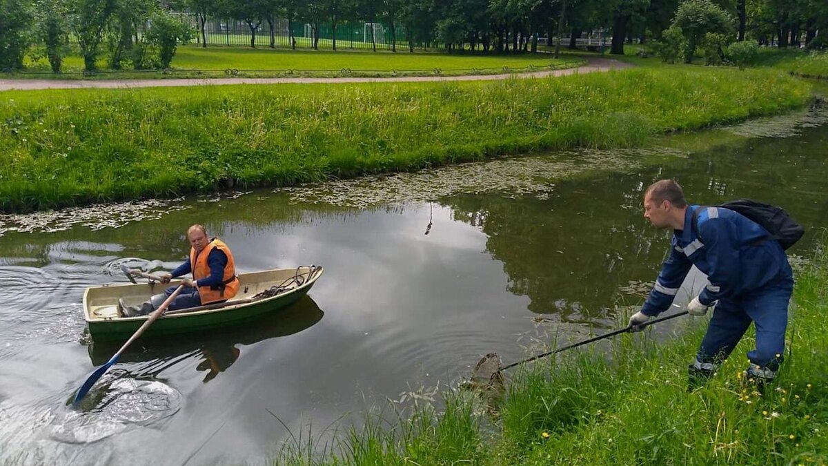    Фото: spb_ecostroy