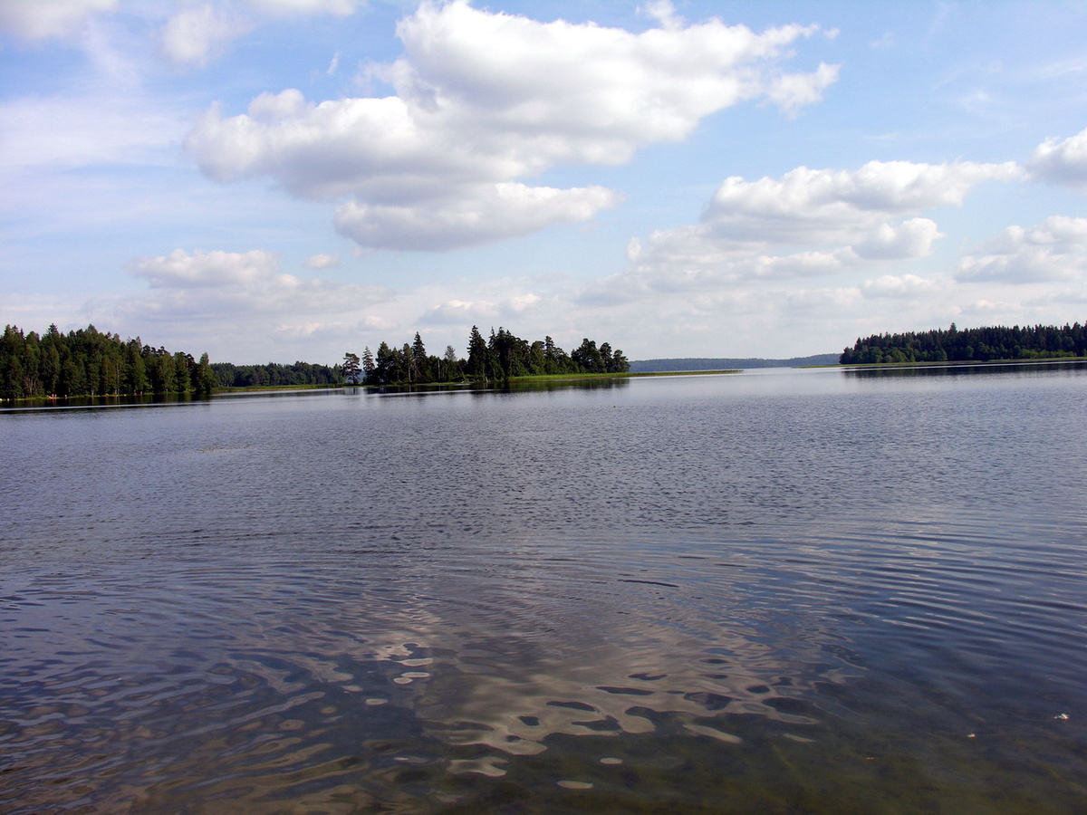 [caption id="attachment_46422" align="alignnone" width="1371"] Авторство: Algėrds at the Samogitian language Wikipedia, CC BY-SA 3.0, https://commons.wikimedia.org/w/index.php?curid=5203301[/caption]