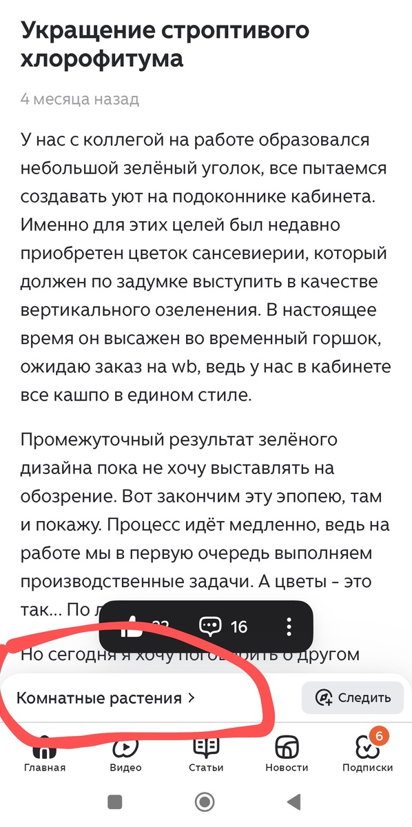 Пример, когда Дзен присвоил тему к материалу