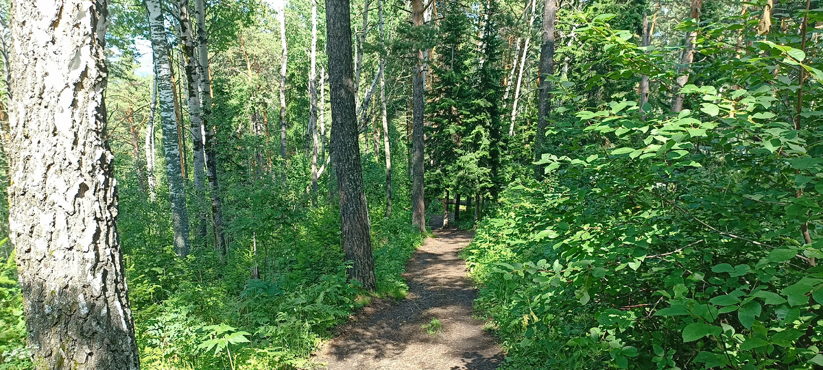 Начало тропы