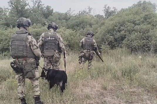 В ЛНР росгвардейцы обнаружили схрон ВСУ с оружием и боеприпасами иностранного производства, источник Телеграм-канал Росгвардия