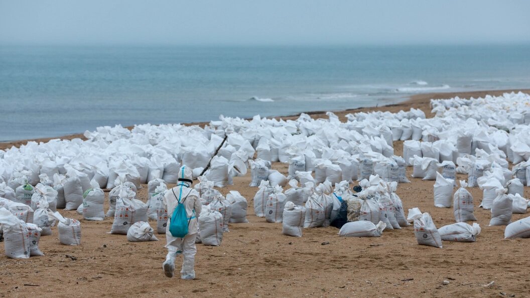    ФОТО: Belkin Alexey/Globallookpress