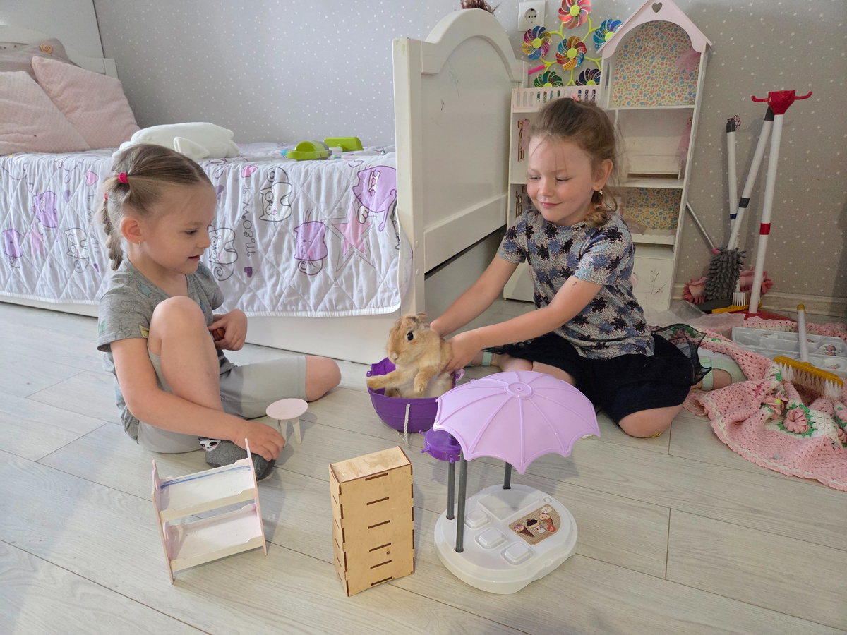 Кролик настоящий 