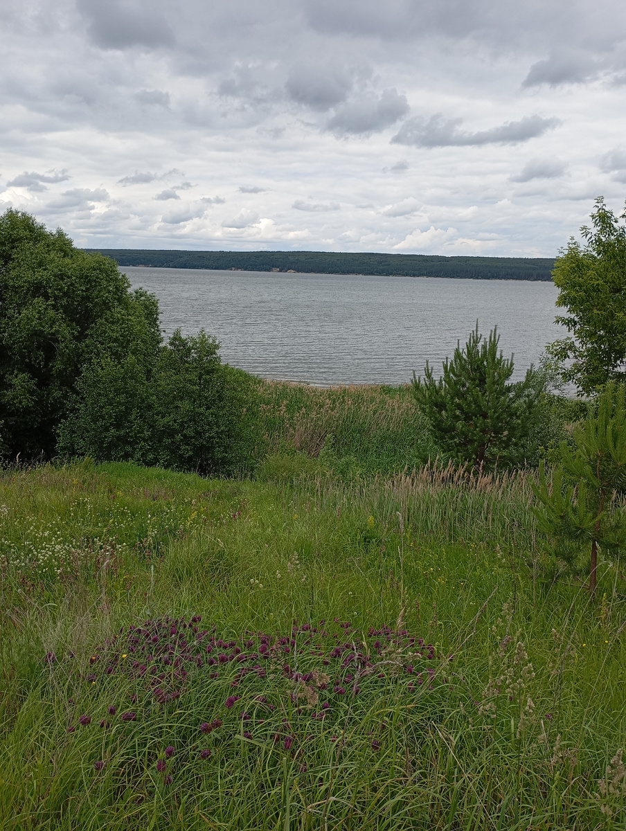 Вид на Сурское водохранилище